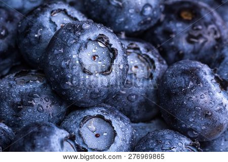 Fresh Ripe Blueberries With Drops Of Dew. Berry Background. Macro Photo.