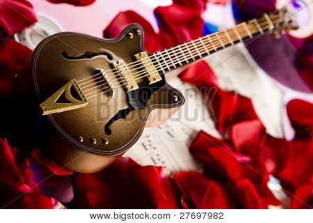 Müzik instrumen - gitar ve güller