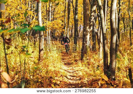 October 14, 2018, Minsk, Belarus.2018 Olympic Cross Country Cup Xco In Medvezhino