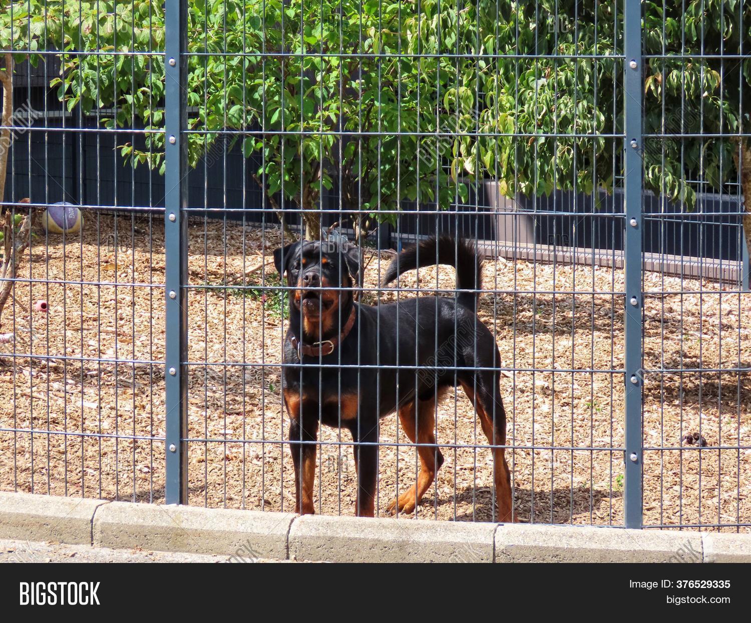 Young Friendly Image & Photo (Free Trial) Bigstock