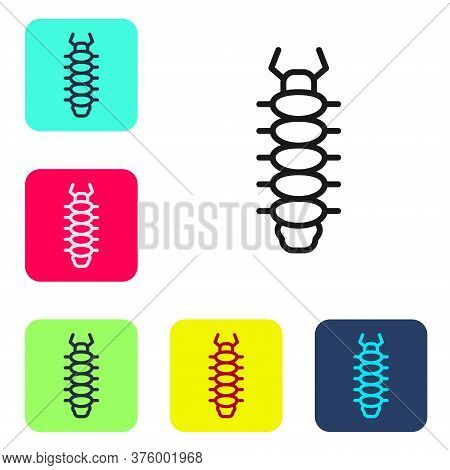 Black Line Centipede Insect Icon Isolated On White Background. Set Icons In Color Square Buttons. Ve