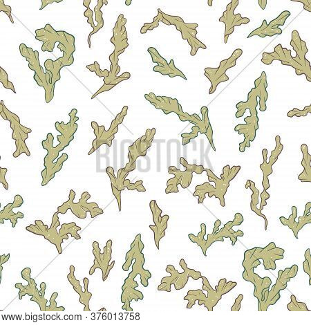 Seamless Vector Pattern With Beauty Sea Algae.