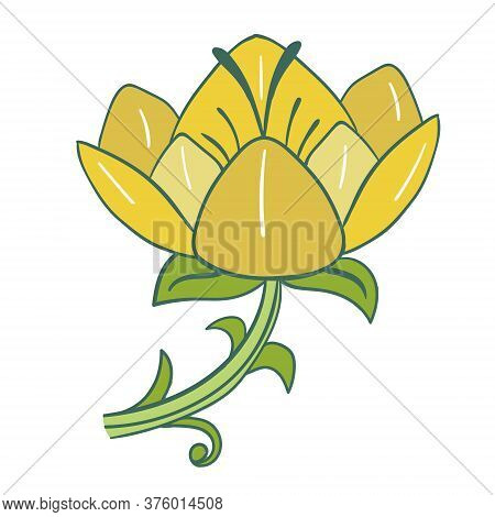 Decorative Image Of An Yellow Lily Flower.