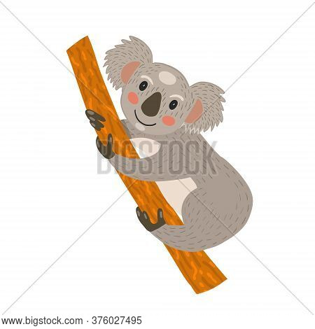 Cute Cartoon Koala On A Tree Vector Illustration.