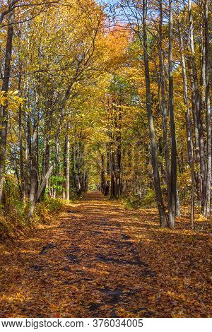 An Autumn View Of The Henry Hudson Trail In Monmouth County New Jersey.