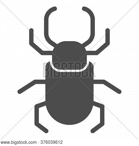 Beetle Stag Solid Icon, Insects Concept, Stag-beetle Sign On White Background, Large Beetle With Bra