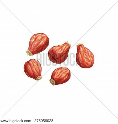 Rose Hip Dried Fruits, Dry Food Snacks Vector Icon. Dried Rose Hips, Fruity Sweets, Diet Nutrition A
