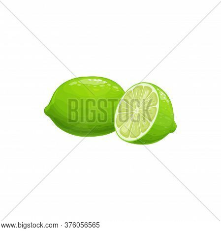 Lime Fruit, Tropical Exotic Citrus, Vector Isolated Food Icon. Lime Fruits Half Cut And Whole, Tropi