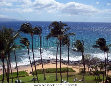 Kihei, Maui  Beach
