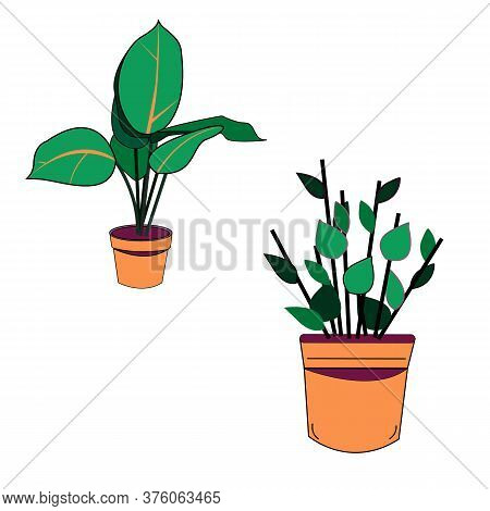 Vector Illustration Of A Flower In A Pot Isolated On White Background. Green Flower In An Orange Pot