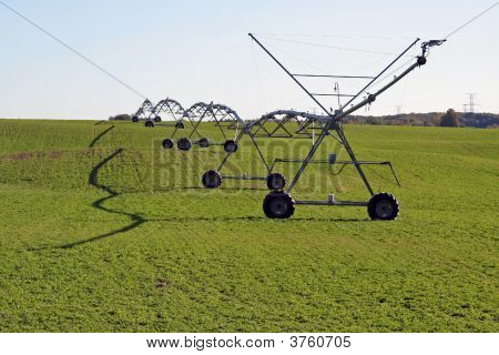 das Feld