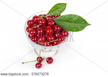 Freshly Picked Sour Cherries With The Leaves Of Cherry Tree In The Small Glass Cup On The Leg On A W