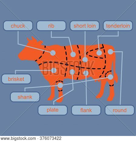 Cutting Beef Meat Or Steak Cuts Diagram Chart