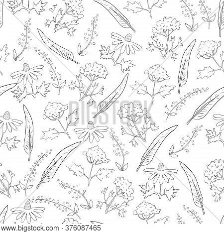 Black And White Seamless Pattern With Flowers