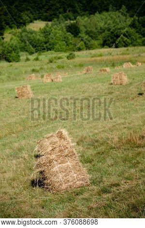 Haystacks On Dubasnica Mountain, Part Of Kucaj Mountain Range In The Eastern Serbia Near The City Of