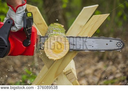 Chainsaw In Action Cutting Wood. Man Cutting Tree Trunk Into Logs With Saw On Sawhorse. Chainsaw. Cl