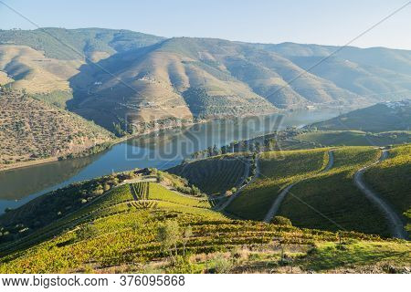 Scenic view of the Douro Valley and river with terraced vineyards near the village of Tua, Portugal