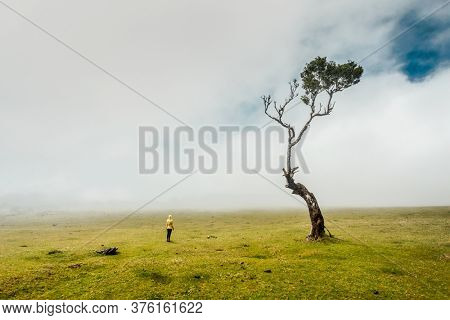 Traveller woman feeling the power of the nature at an ancient forest