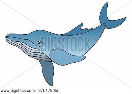 Blue Whale. Underwater Monster. Vector Stock Illustration. White Isolated Background. Plankton Marin