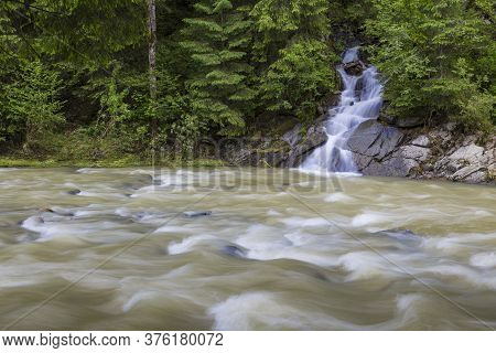 Summer Landscape In Forest Mountains. Small Mountain Stream Flowing Among A Green Forest, Influent I