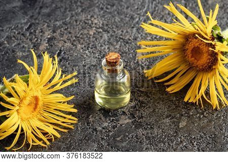 A Bottle Of Elecampane Essential Oil With Inula Helenium Plant