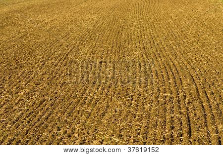 Campo arato