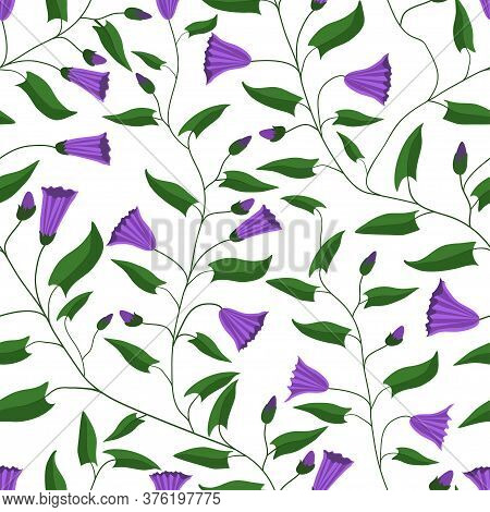 Seamless Pattern. Flowers And Leaves Of The Field Bindweed. For Gift Packaging, Fabric And Other Pri