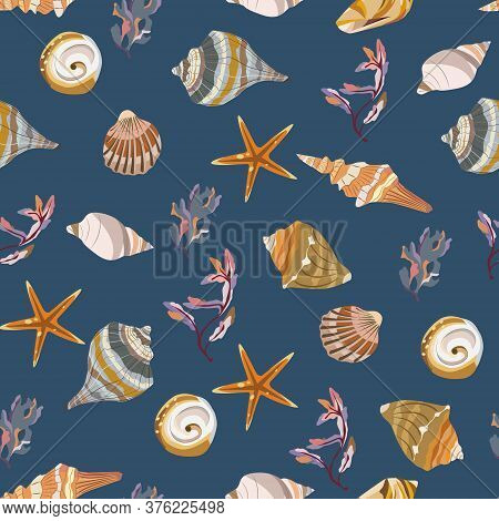 Seamless Vector Color Pattern With Shells. Hand Drawn мarine Background. Suitable For Greetings, Inv