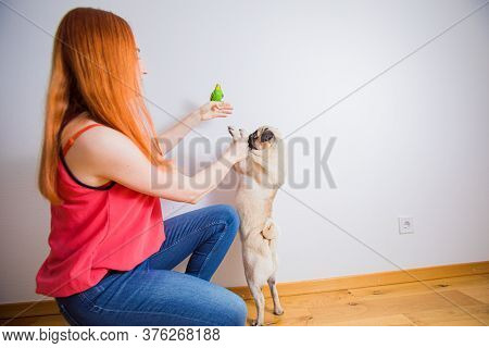 The Instinct Of The Stronger Creature To Eat The Weaker