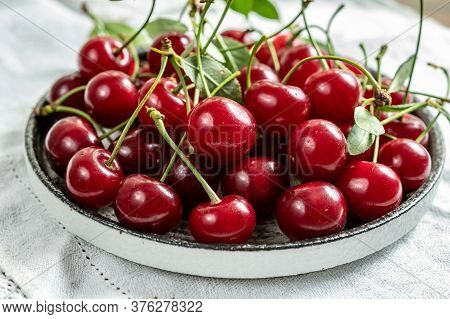 New Harvest Of Red Ripe Juicy Sour Cherry Or Kriek Berry Fruit
