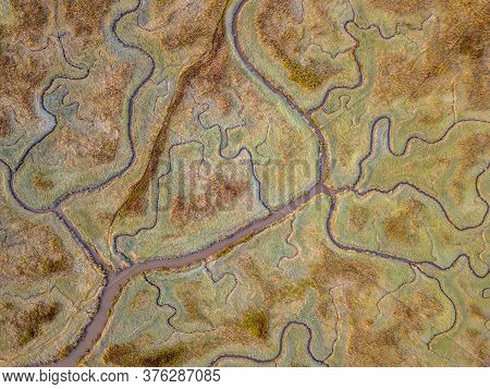 Aerial Top Down View Of Tidal Marshland With Natural Meandering Drainage System In Verdronken Land V