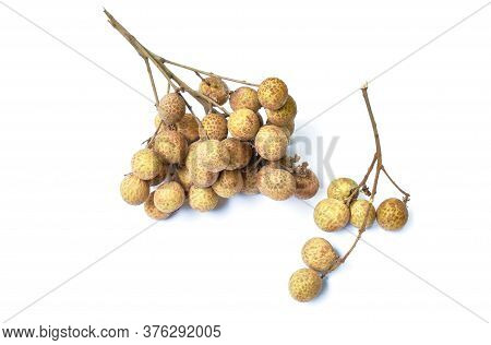 Longan Tropical Fruit In Branch Isolated On White Background
