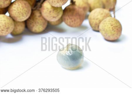 Longan Tropical Fruit In Branch Isolated On White Background
