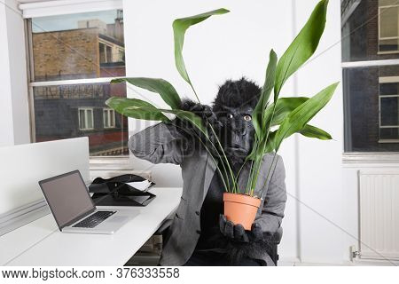 Frightful young man in gorilla mask looking through pot plant