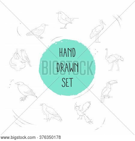 Set Of Fowl Icons Line Style Symbols With Phoenix, Ostrich, Eagle And Other Icons For Your Web Mobil