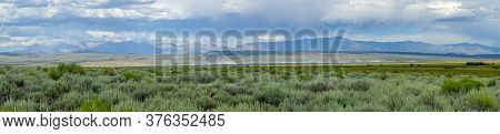 Green Wild Land With Sagebrush Plant And Mountain In The Background Next The Lake Crowley, Eastern S