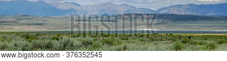 Green Wild Land With Sagebrush Plant And Mountain In The Background Next The Lake Crowley, Eastern S