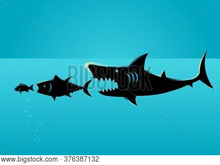 Illustration Of Bigger Fish Prey On Smaller Fish, Concept For Natural Law, The Weaker Inferior To Th