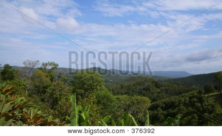 Cerrado australiano