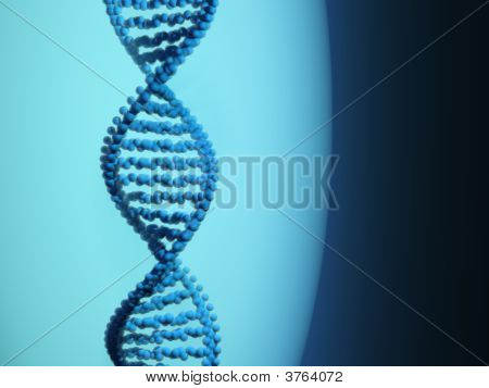 Dna 的结构