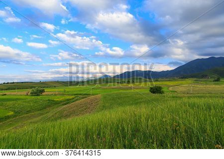 Beautiful Spring And Summer Landscape. Lush Green Hills. Spring Blooming Herbs.