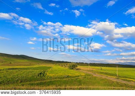 Beautiful Spring And Summer Landscape. Lush Green Hills. Spring Blooming Herbs.