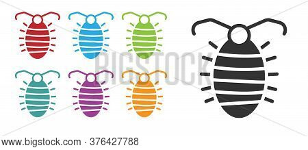 Black Larva Insect Icon Isolated On White Background. Set Icons Colorful. Vector