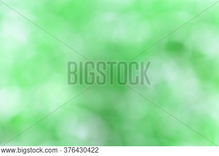 Green Blurred Background. Green Optical Blur Fon From Nature Leaves Out Of Focus.