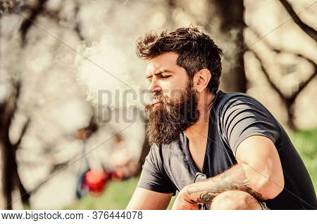 Man Long Beard Relaxed With Smoking Habit. Man With Beard And Mustache Breathe Out Smoke. White Clou