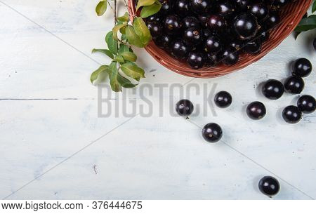 Jaboticaba Or Jabuticaba, Very Tasty Brazilian Fruit. Top View
