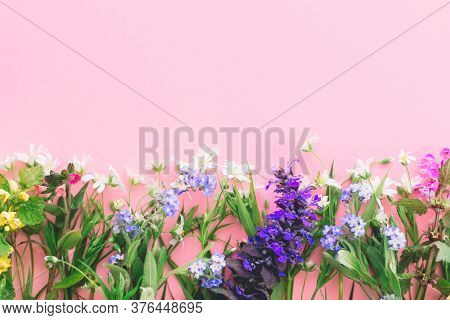 Wildflowers Colorful Border On Pink Paper Background, Flat Lay With Space For Text. Blooming Spring