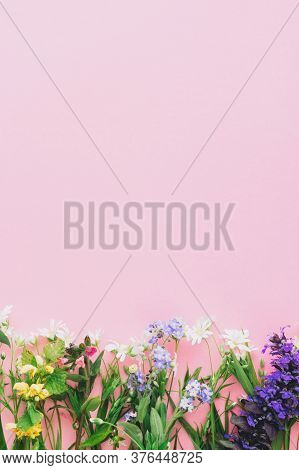 Wildflowers Colorful Border On Pink Paper Background, Flat Lay With Space For Text. Blooming Spring