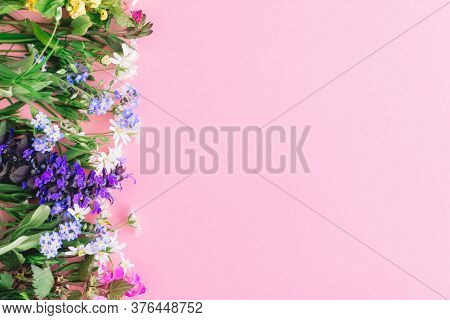 Floral Flat Lay Of Colorful Spring Wildflowers On Pink Paper Background, Space For Text. Floral Gree