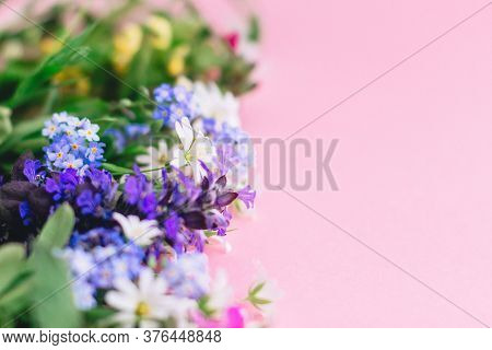 Wildflowers Colorful Border On Pink Paper Background With Space For Text. Blooming Spring Flowers, F